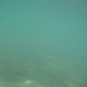 Picture 035